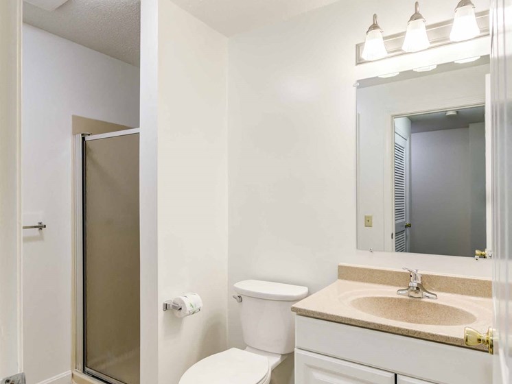 bathroom with standing shower and white vanity